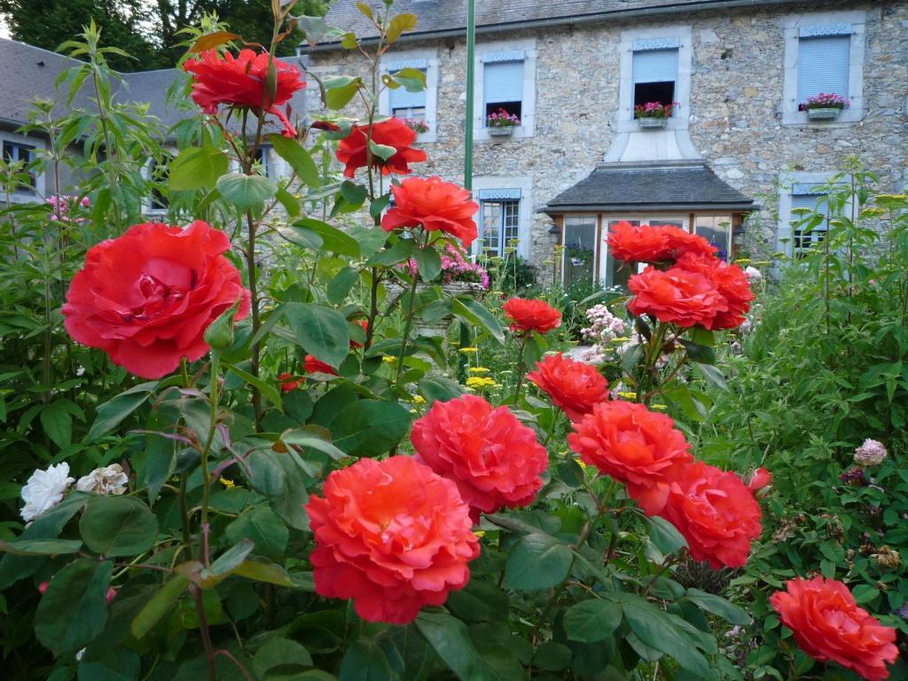 Domaine Vega Bed & Breakfast Saint-Arroman  Dış mekan fotoğraf